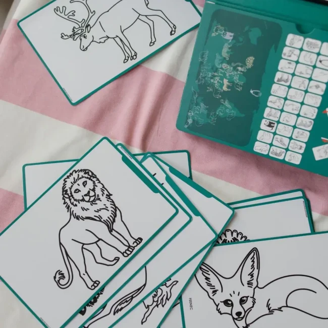 Podswietlany-tablet-do-rysowania-KIDYDRAW-MINI---zwierzeta-dookola-swiata--Kidywolf (2).webp