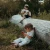 krotkofalowki-walkie-talkie-kidytalk-niebiesko-czerwone2.webp