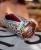pol_pl_Hello-Hossy-Piornik-Leopard-751_5.jpg