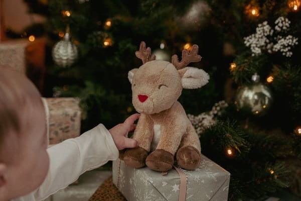 pol_pl_Little-Dutch-Zestaw-prezentowy-X-MAS-5702_4.jpg