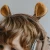 kidywolf_sluchawki_mis5.webp