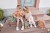 lassig-lunchbox-stal-happy-prints-oliwkowy-4066239101150-5.jpg