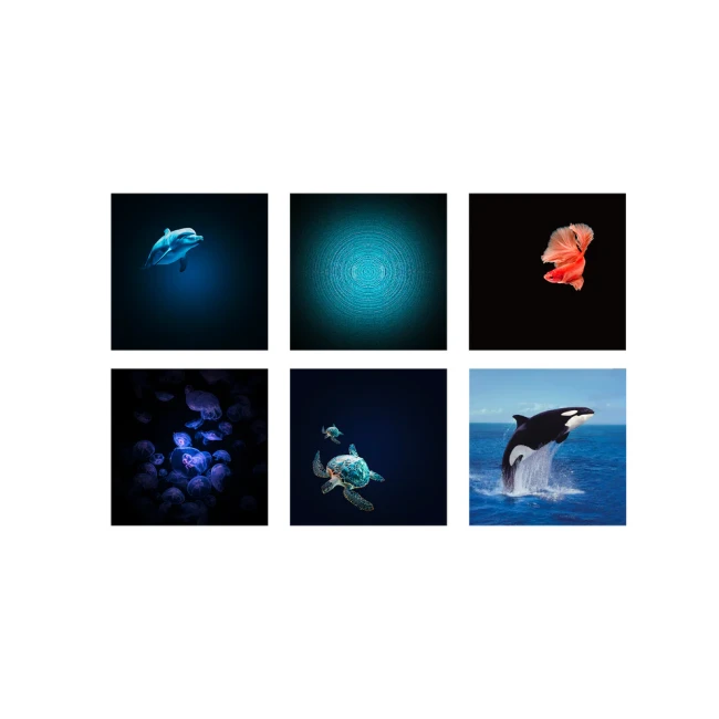 Kidystar-Projektor-obrotowy-Ocean-Kidywolf-6-plyt.webp