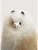 puszysta-alpaka-light-blonde-mix-32cm-5902003785050-4.webp