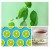 4017512203306-dresdner-essenz-hyaluron-aloe-vera-sol-do-kapieli-80g-1.jpg
