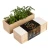 resetea-zestaw-do-uprawy-ziol-pizza-oregano-bazylia-pomidor-koktajlowy-8437022504629-4.webp