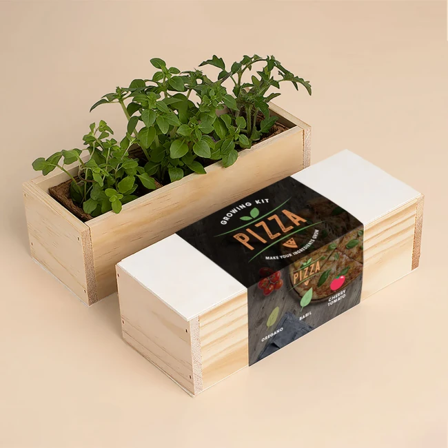 resetea-zestaw-do-uprawy-ziol-pizza-oregano-bazylia-pomidor-koktajlowy-8437022504629-3.webp
