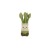 jellycat-zabawne-szparagi-22cm-a2asp-670983166606-3.jpg