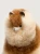 huacaya-przytulanka-z-naturalnej-alpaki-blonde-mix-1.webp