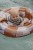 little-dutch-kolko-treningowe-dla-dzieci-ocean-world-6-12m-8712051154527-1.jpg