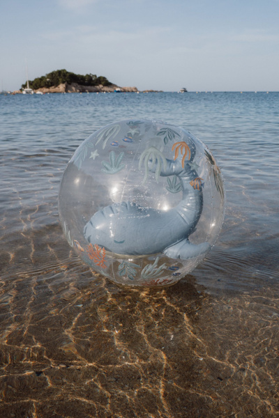 little-dutch-pilka-plazowa-3d-ocean-world-35-cm-2plus-8712051154589-2.jpg