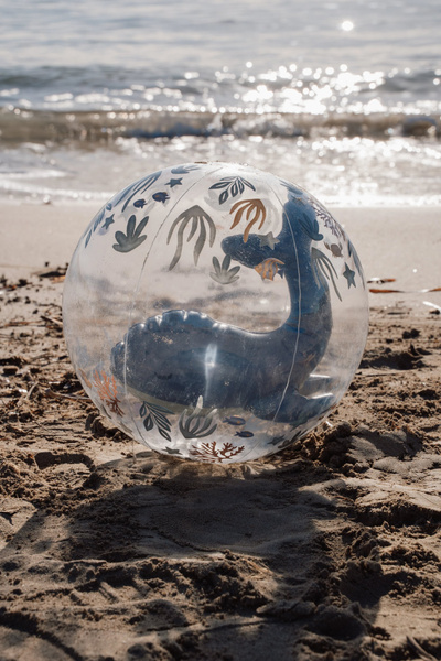 little-dutch-pilka-plazowa-3d-ocean-world-35-cm-2plus-8712051154589-1.jpg