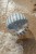 little-dutch-pilka-plazowa-ocean-world-35-cm-2plus-8712051154671-1.jpg