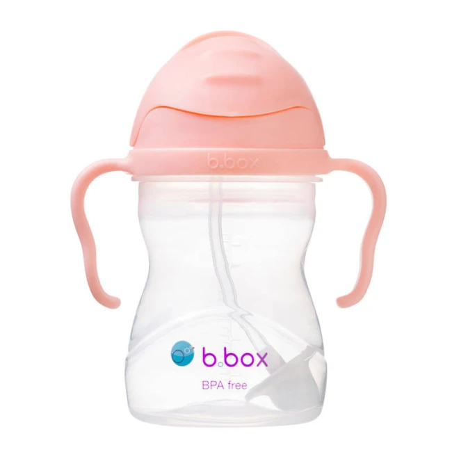 b-box-bidon-ze-slomka-240-ml-tutti-frutti-6m-plus-9353965005216-1.jpg