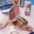 b-box-mini-lunchbox-1-l-blush-crush-3plus-9353965007098-1.jpg