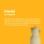 asobu-bestie-butelka-termiczna-ze-slomka-kapibara-460-ml-4plus-842591059865-1.webp