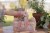 little-dutch-zestaw-prezentowy-malego-ogrodnika-fairy-garden-10-el-8713291891159-2.jpg