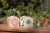 little-dutch-pojemnik-do-obserwacji-owadow-forest-friends-3plus-8713291891364-7.jpg