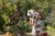 little-dutch-pojemnik-do-obserwacji-owadow-forest-friends-3plus-8713291891364-4.jpg
