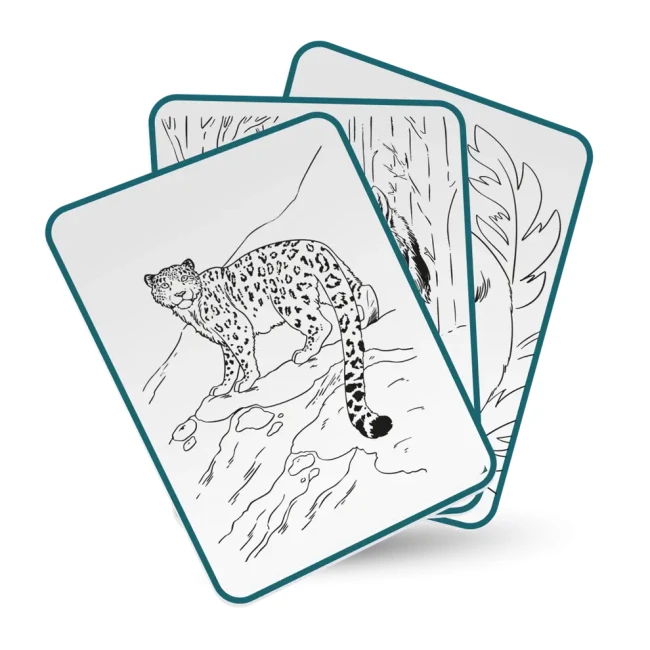 Tablet-graficzny-z-szablonami-do-rysowania-KIDYDRAW-PAD-Animals-Kidywolf-6.webp