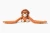 hugimals-pluszak-obciazeniowy-orangutan-ollie-1-1-kg-2-plus-850064782073-8.webp