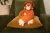 hugimals-pluszak-obciazeniowy-orangutan-ollie-1-1-kg-2-plus-850064782073-5.webp