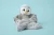 hugimals-pluszak-obciazeniowy-pingwin-pax-1-1-kg-2-plus-850064782059-6.webp