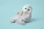 hugimals-pluszak-obciazeniowy-pingwin-pax-1-1-kg-2-plus-850064782059-5.webp