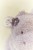 little-dutch-przytulanka-hipopotam-17-cm-safari-friends-8713291883611-2.jpg