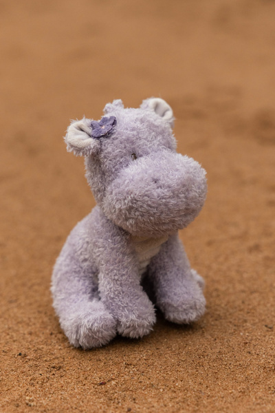little-dutch-przytulanka-hipopotam-17-cm-safari-friends-8713291883611-1.jpg