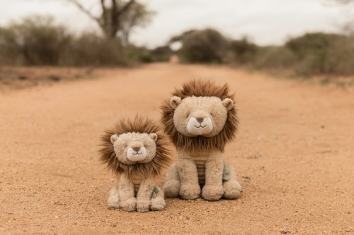 little-dutch-przytulanka-lew-25-cm-safari-friends-0plus-8713291883604-3.jpg