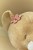 little-dutch-przytulanka-lwica-25-cm-safari-friends-8713291883581-3.jpg