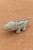 little-dutch-przytulanka-krokodyl-40-cm-safari-friends-0plus-8713291883567-1.jpg