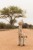 little-dutch-przytulanka-zyrafa-42-cm-safari-friends-0plus-8713291883543-4.jpg