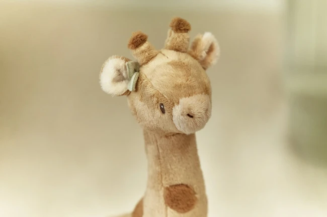 little-dutch-przytulanka-zyrafa-42-cm-safari-friends-0plus-8713291883543-1.jpg