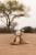 little-dutch-przytulanka-malpka-safari-friends-8713291883505-3.jpg