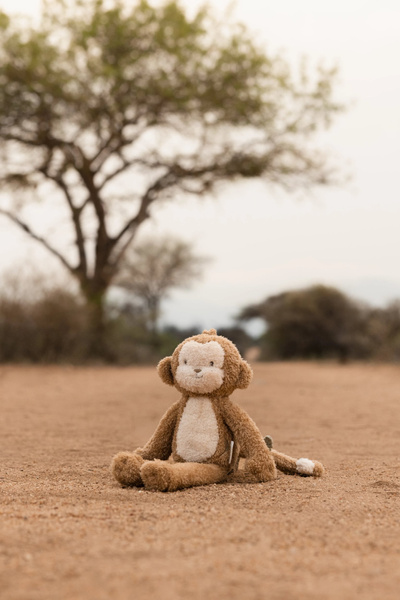 little-dutch-przytulanka-malpka-safari-friends-8713291883505-3.jpg