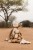 little-dutch-przytulanka-malpka-safari-friends-8713291883505-1.jpg