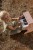 little-dutch-drewniane-pianino-rozowe-safari-friends-3plus-8713291774773-6.jpg