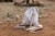 little-dutch-zestaw-drewnianych-instrumentow-rozowy-safari-friends-3plus-8713291774742-2.jpg