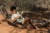 little-dutch-drewniana-gitara-zielona-safari-friends-3plus-8713291774704-4.jpg