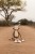 little-dutch-przytulanka-duza-malpka-safari-friends-1plus-8713291883512-4.jpg