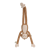 little-dutch-przytulanka-duza-malpka-safari-friends-1plus-8713291883512-1.png