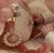 little-dutch-flaming-aktywizujacy-safari-friends-0plus-8713291883185-1.webp