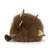 jellycat-lesna-sciolka-mulshi-13-cm-670983169577-2.png
