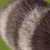 jellycat-szop-trixiwoo-24-cm-670983169546-1.png