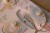 little-dutch-puzzle-dzwiekowe-safari-friends-8713291774407-2.jpg