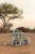little-dutch-drewniany-samochod-sorter-safari-friends-18m-plus-8713291774476-2.jpg