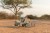 little-dutch-drewniany-samochod-sorter-safari-friends-18m-plus-8713291774476-1.jpg