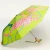 original-duckhead-parasolka-kaczka-arty-cats-lime-skladana-5060499013887-5.webp